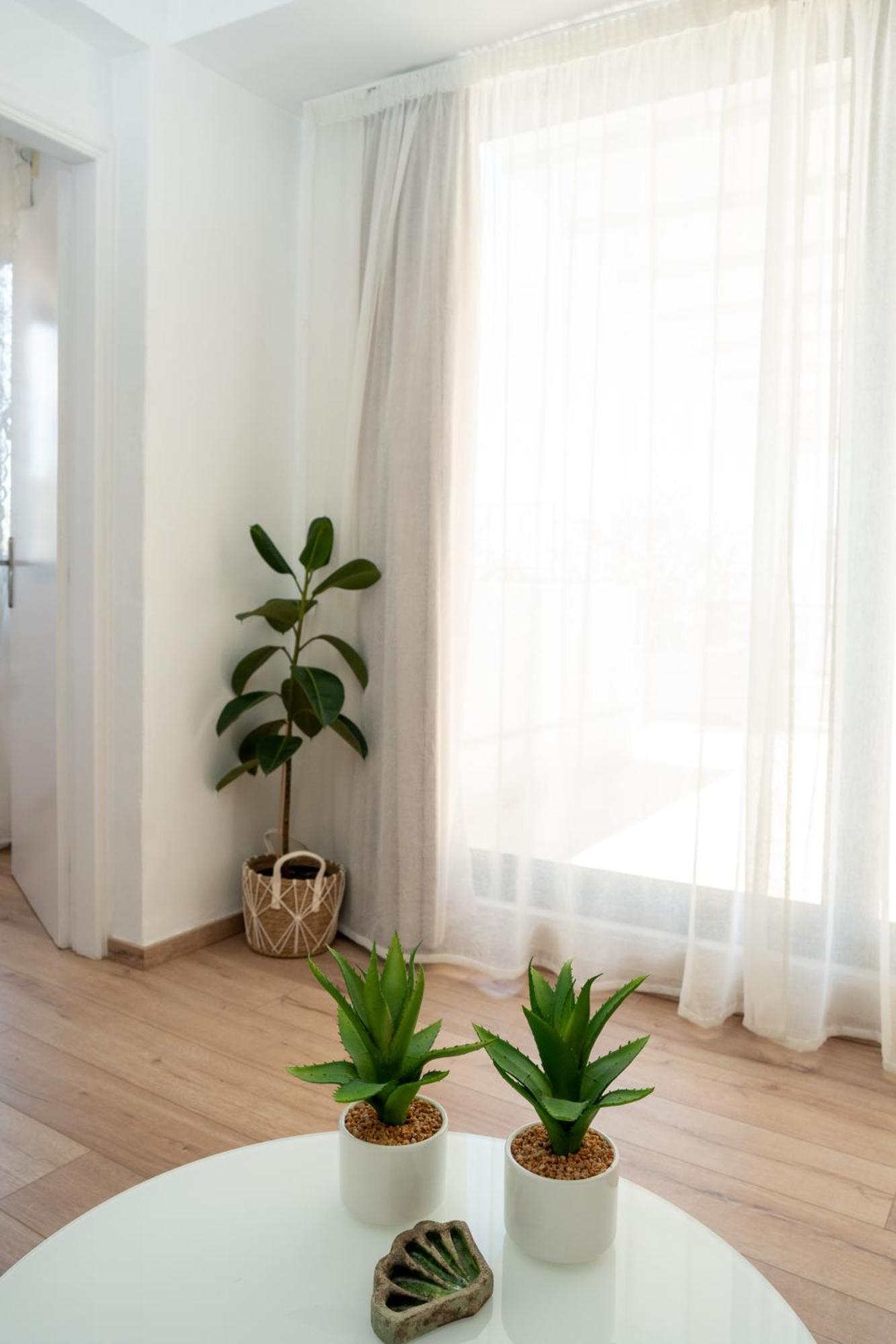 V&V Acropolis View Apartment أثينا المظهر الخارجي الصورة